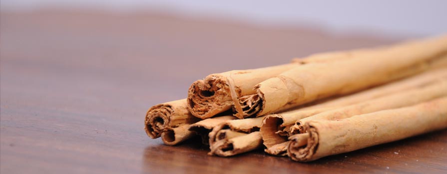 Cinnamon exporters in sri lanka